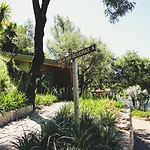 Quinta Dos Carqueijais & Wellness